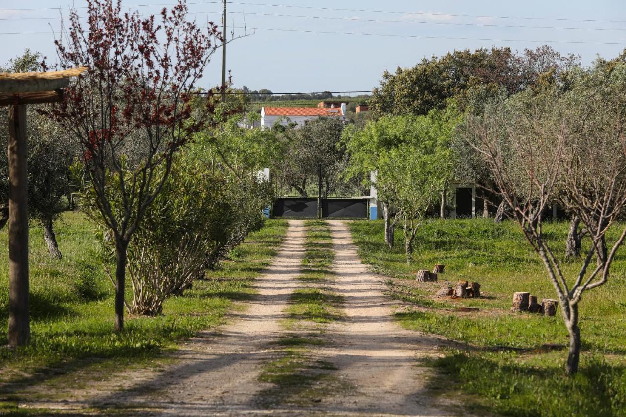 Quinta da Tapada de São Pedro Vimieiro (Evora) Exterior foto