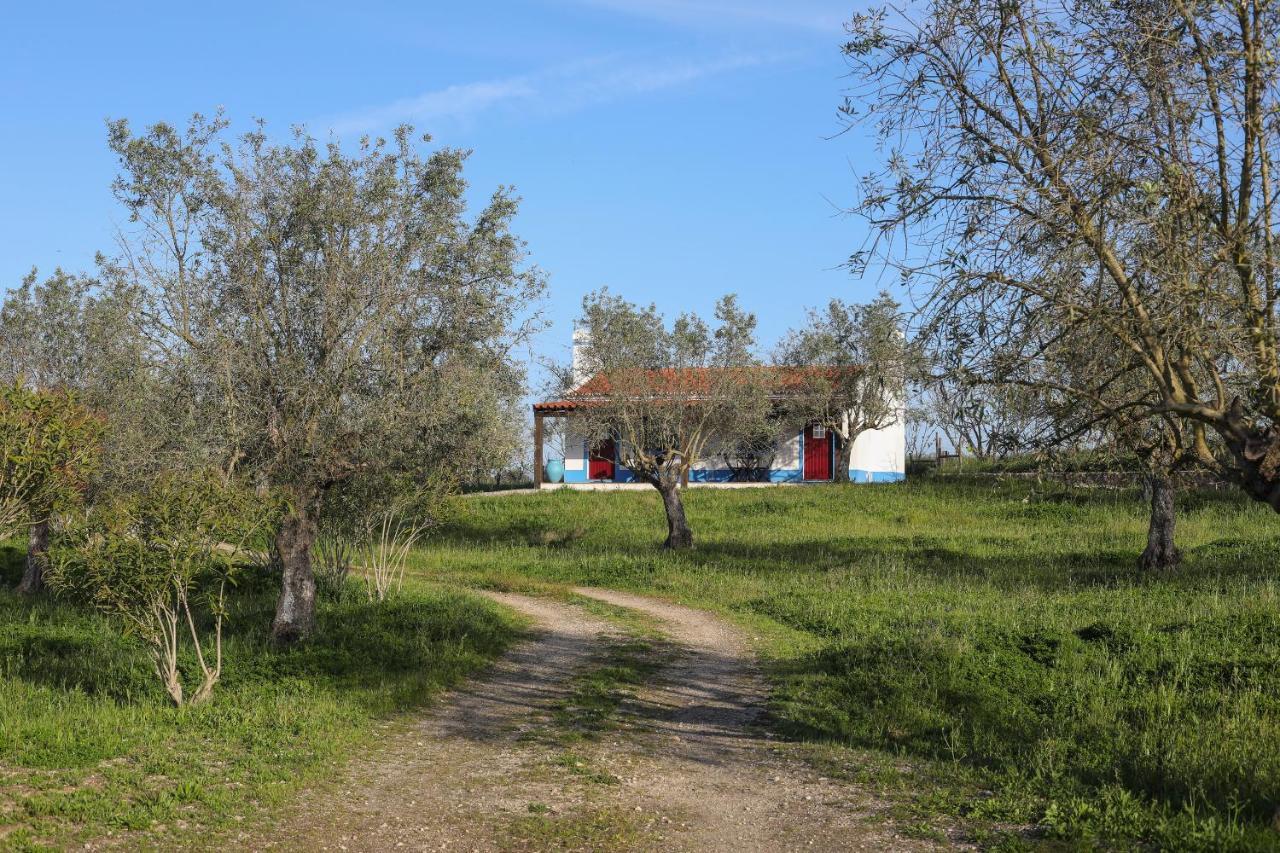 Quinta da Tapada de São Pedro Vimieiro (Evora) Exterior foto