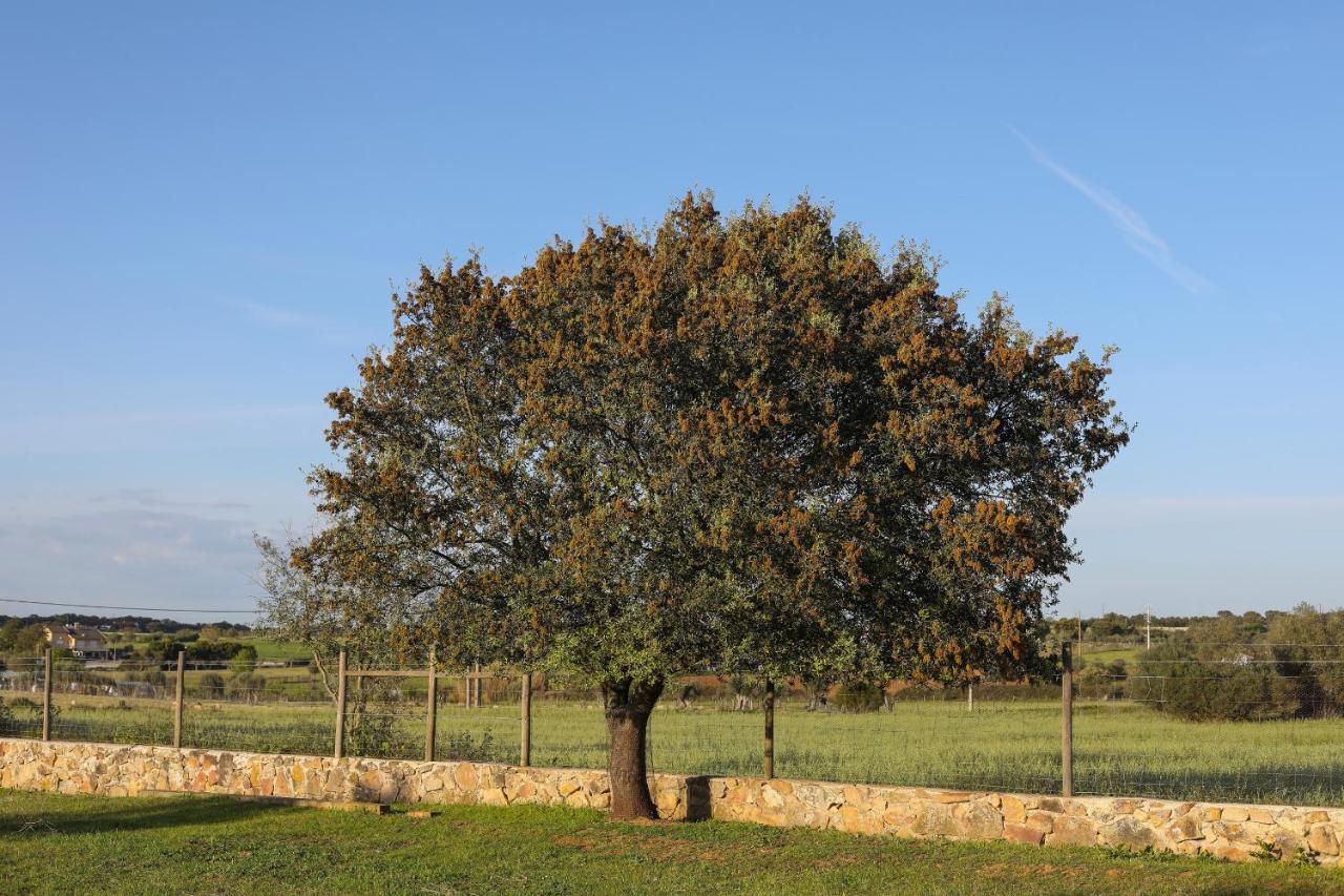 Quinta da Tapada de São Pedro Vimieiro (Evora) Exterior foto