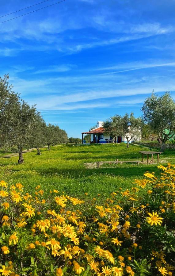 Quinta da Tapada de São Pedro Vimieiro (Evora) Exterior foto
