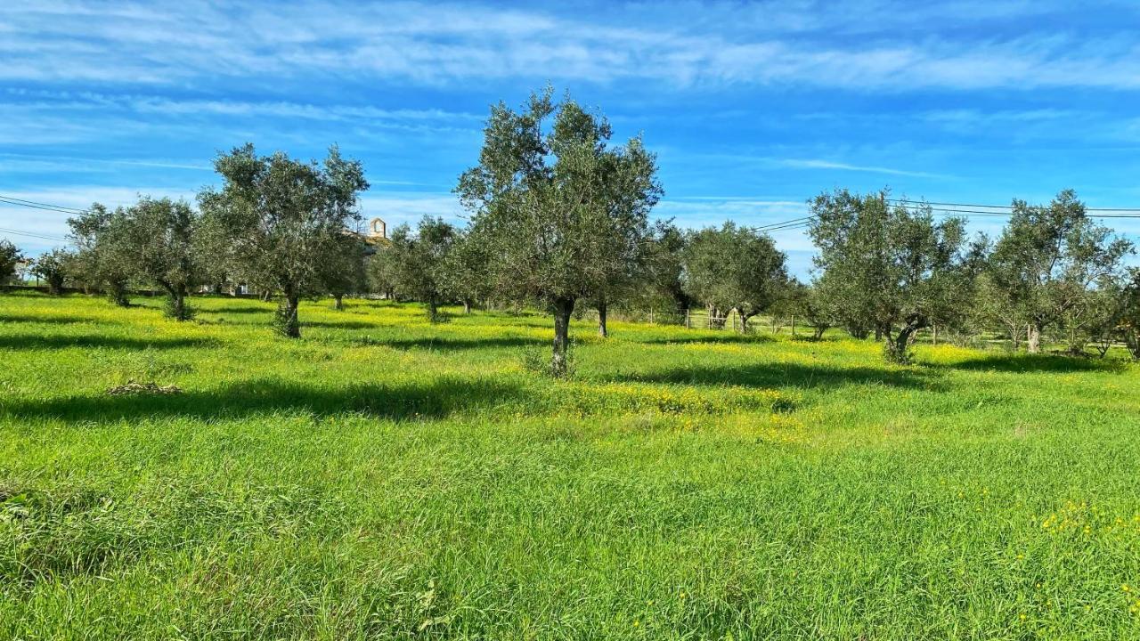 Quinta da Tapada de São Pedro Vimieiro (Evora) Exterior foto