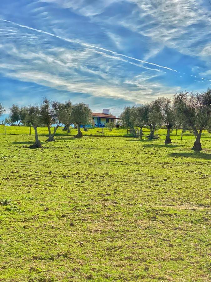 Quinta da Tapada de São Pedro Vimieiro (Evora) Exterior foto